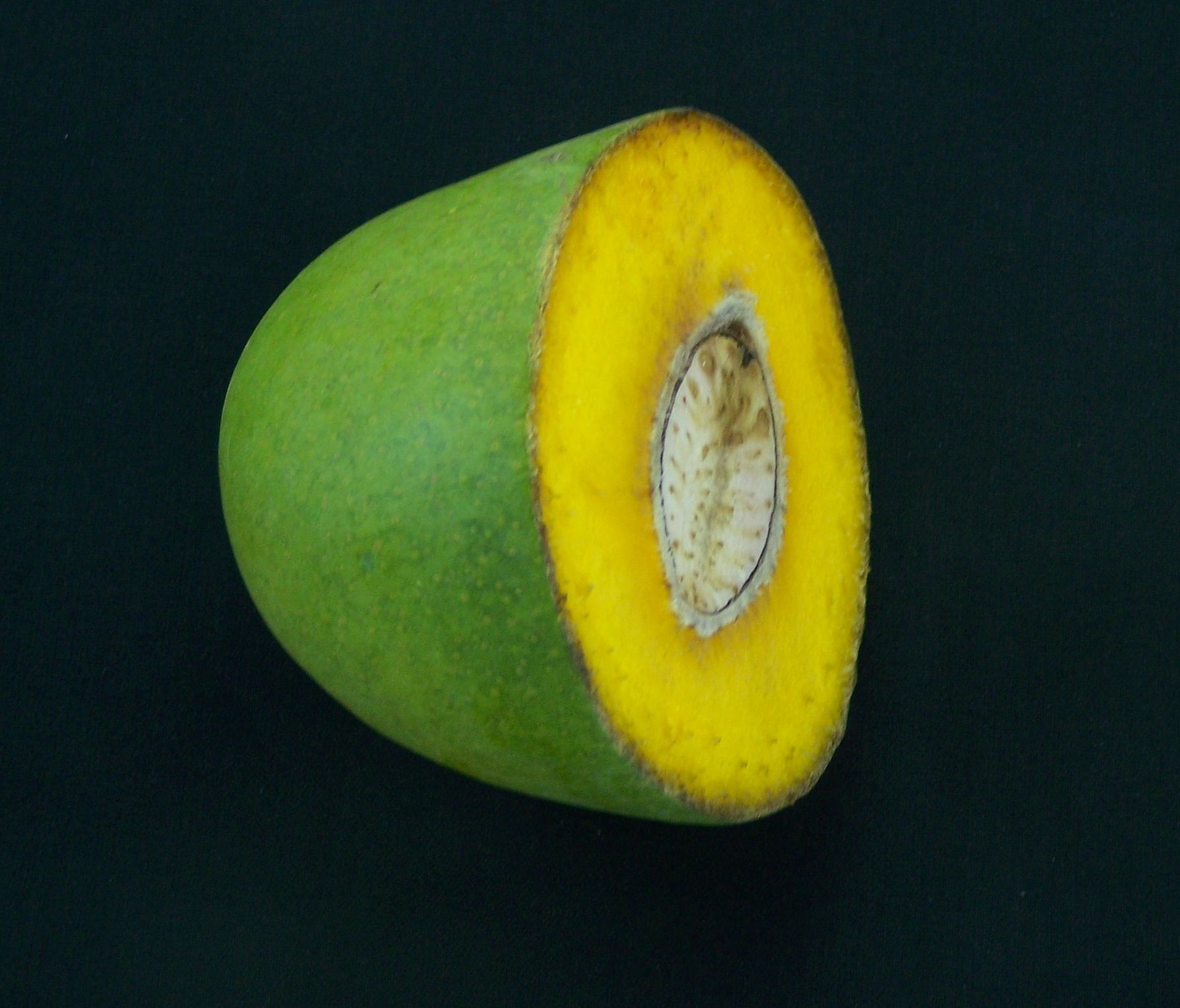 Himsagar